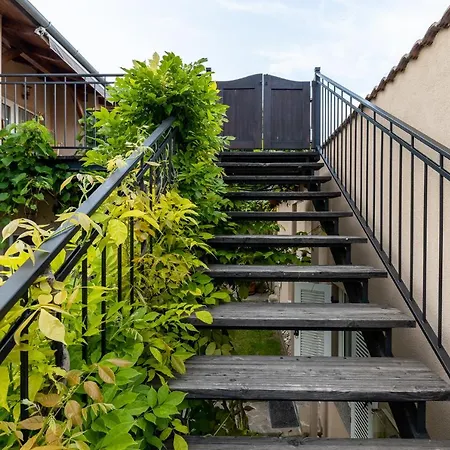 Adel Vendeghaz Zamárdi