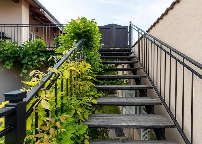 Adel Vendeghaz Zamárdi